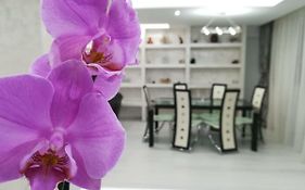 Paradise Apartament